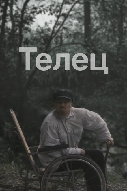 Телец